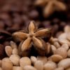 Масло для кутикулы Сача Инчи, 10мл, Спивакъ — изображение 3