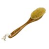 Щетка антицеллюлитная Spa-brush 29 см, кактус Тампико